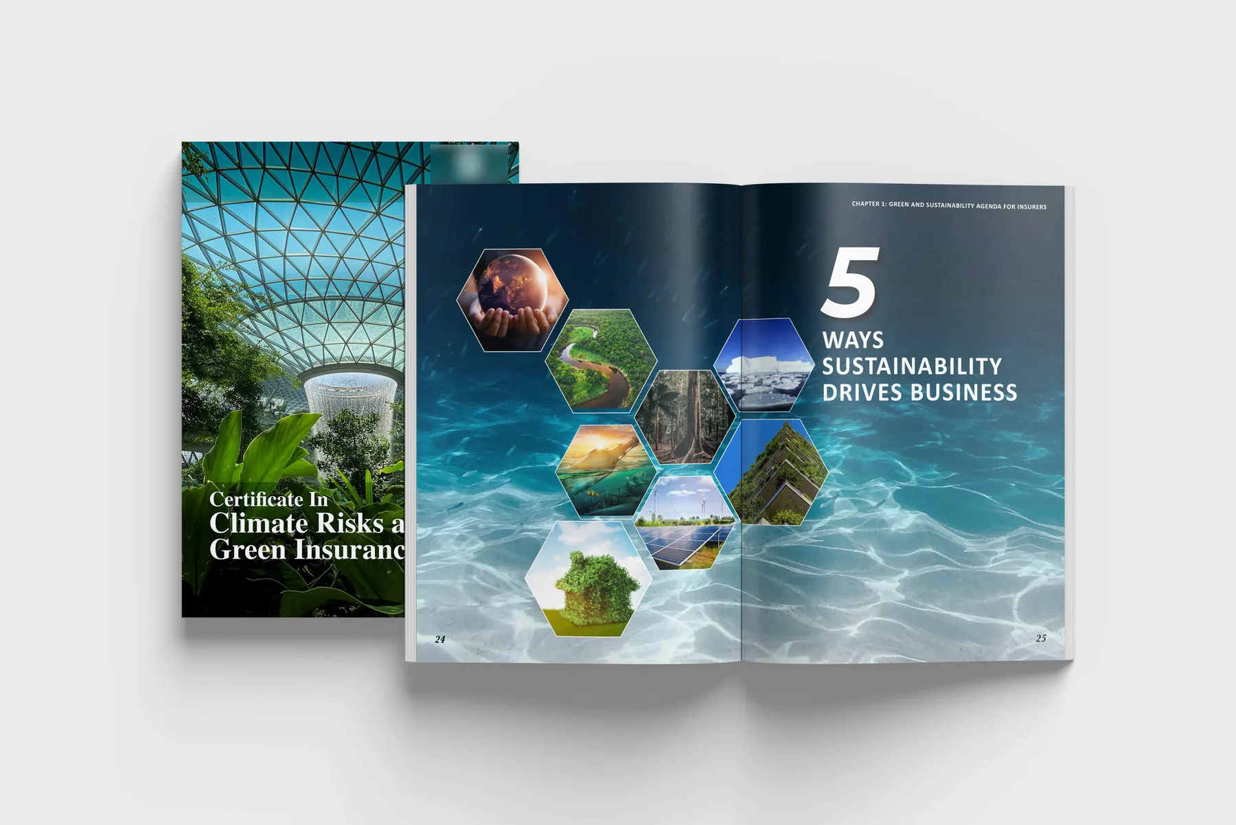 Climate risk report