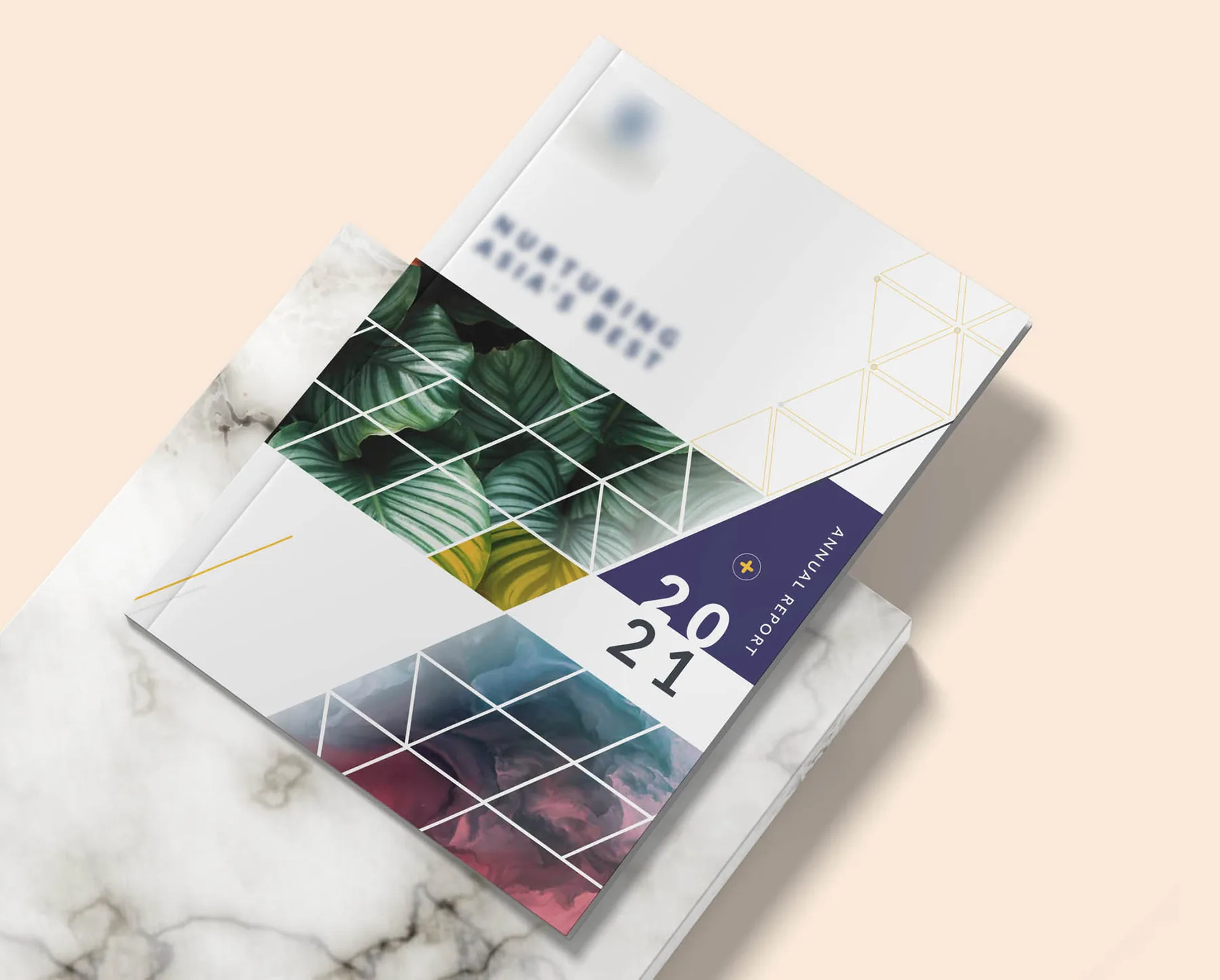 Annual report